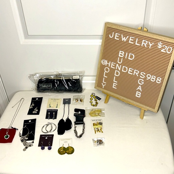 Express Accessories - Jewelry Bundle 15 Pieces of Designer Jewelry New With Tags
